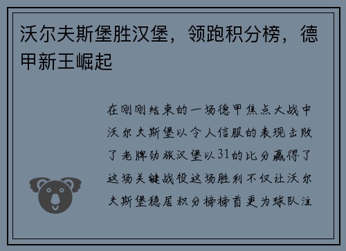 沃尔夫斯堡胜汉堡，领跑积分榜，德甲新王崛起