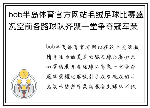 bob半岛体育官方网站毛绒足球比赛盛况空前各路球队齐聚一堂争夺冠军荣耀