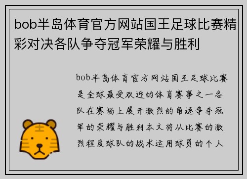 bob半岛体育官方网站国王足球比赛精彩对决各队争夺冠军荣耀与胜利