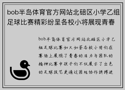 bob半岛体育官方网站北碚区小学乙组足球比赛精彩纷呈各校小将展现青春风采与团队精神